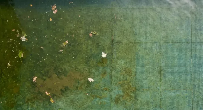 Piscina descuidada antes de la intervención